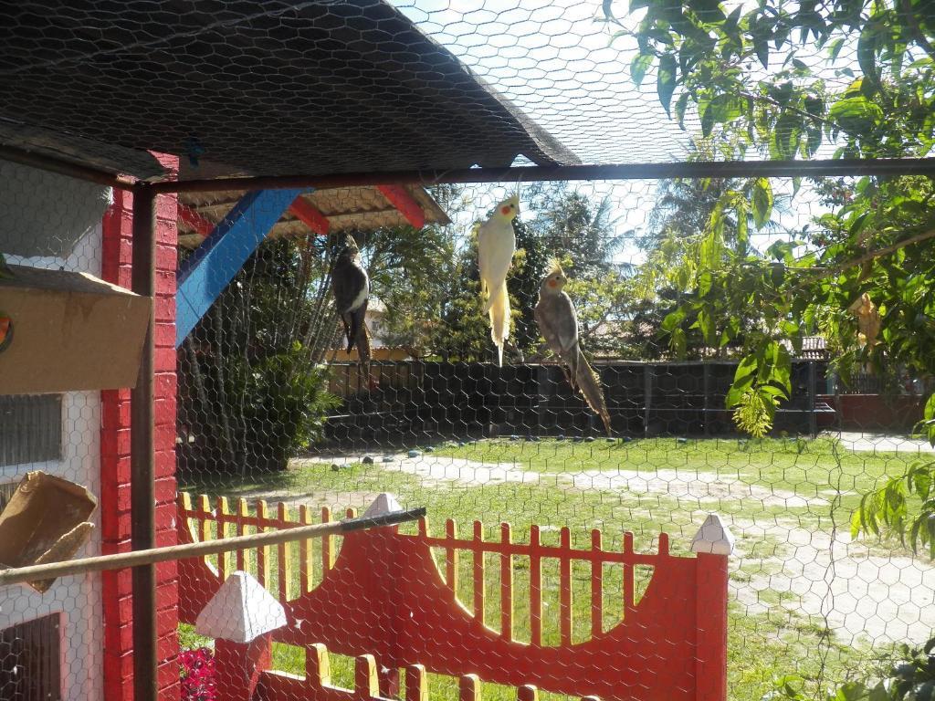 Pousada Solar Das Conchas Cabo Frio Zewnętrze zdjęcie