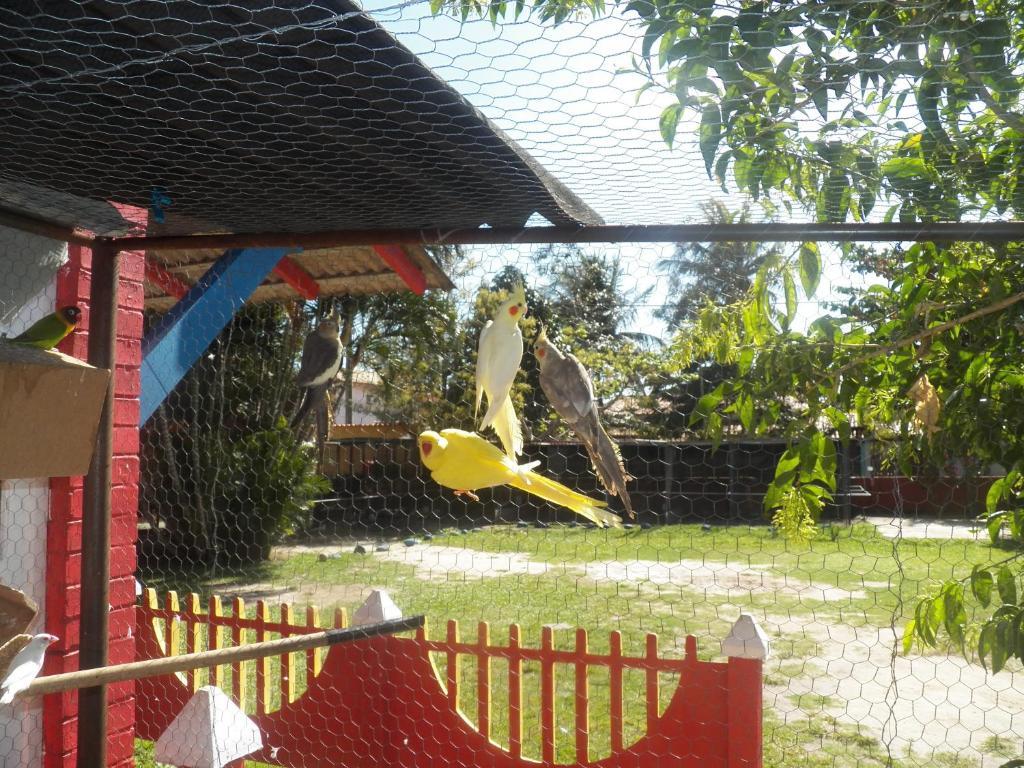 Pousada Solar Das Conchas Cabo Frio Zewnętrze zdjęcie